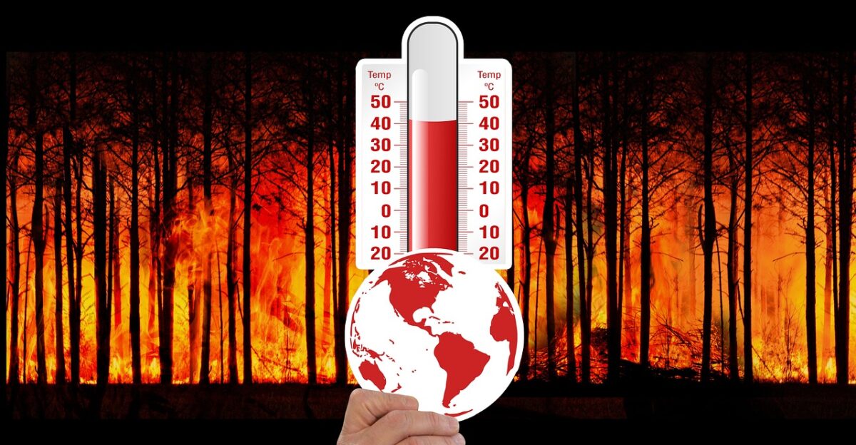 climate change thermometer forest fire forest fire heat flames temperature globe warming global global warming hot warmth climate earth nature change climate change global warming global warming global warming global warming global warming