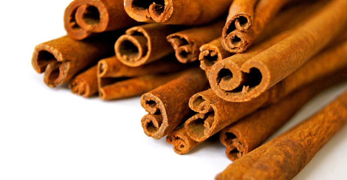 cinnamon spice food cinnamon stick condiment flavoring aromatic closeup cinnamon cinnamon cinnamon cinnamon cinnamon