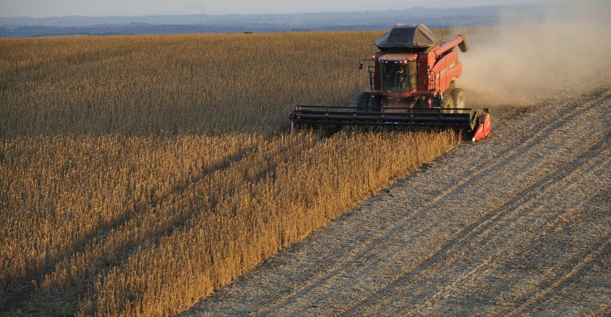 soy combine harvest grains brazil agricultural machine farm harvester crop soy plantation soy soy soy soy soy combine combine combine combine brazil