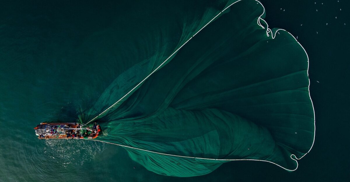 boat fishing boat sea great wide blue morning fish fishing outstanding nature sky view aerial photography vietnamese landscape