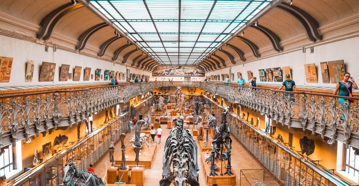 museum dinosaur dino fossil paleontology extinct prehistoric evolution ancient jurassic history bones archeology predator tourism brown dinosaur educational museum museum museum museum museum dinosaur dinosaur evolution