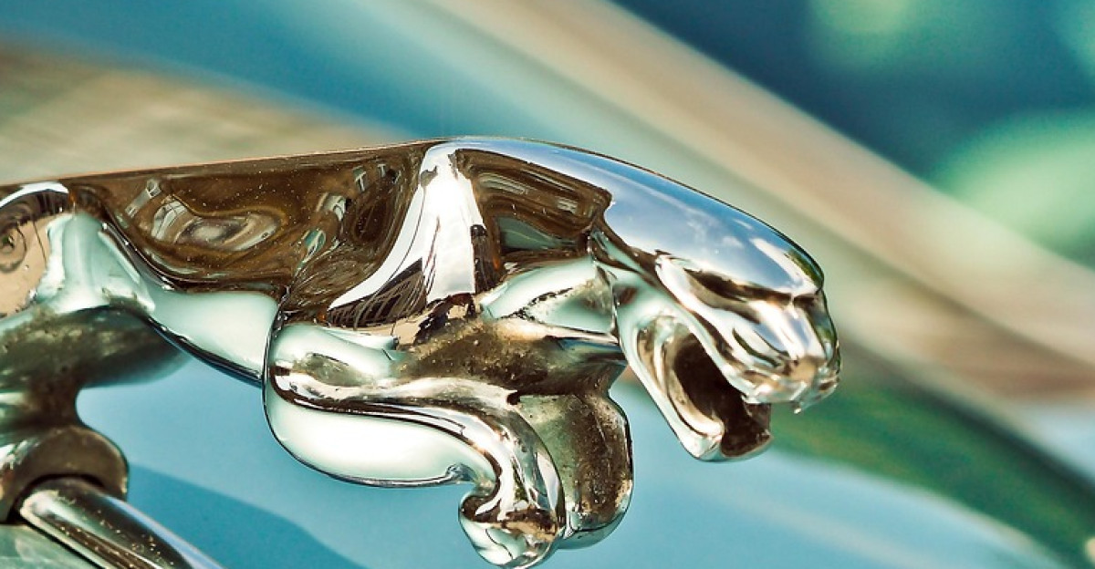 automobile jaguar xk antique car vehicle old classic old car historical vintage nostalgic restored nostalgia headlights nobelkrosse limousine car luxury jaguar car wallpapers expensive dream car elegant luxury car rarity figure