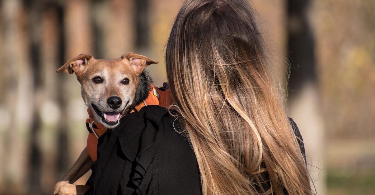 dog pet pet owner animal owner domestic dog nature canine harness dog harness mammal cute adorable woman female outdoors