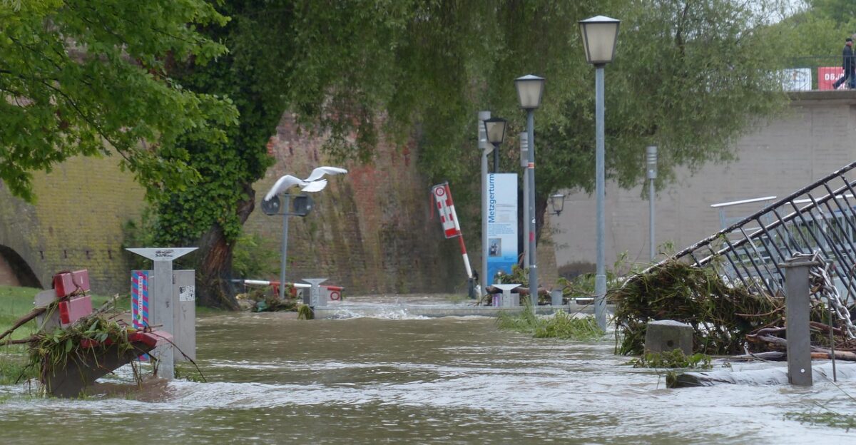 flood danube ulm catastrophe destruction road river floodplain city park flooded locked damage flood damage rainy weather cloudy rain wet precipitation flooding water water level peak flow riverside flood disaster nature storm force of nature civil protection flood of the century climate change