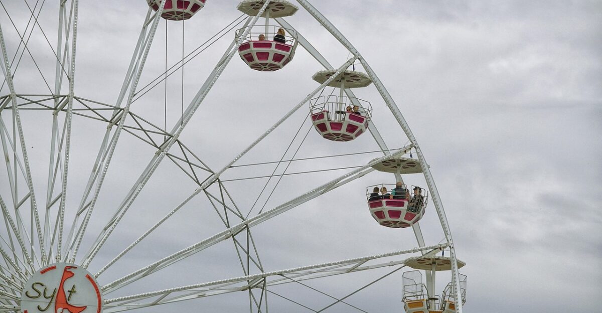 ferris wheel amusement park ride theme park ride ferris wheel ferris wheel ferris wheel ferris wheel ferris wheel