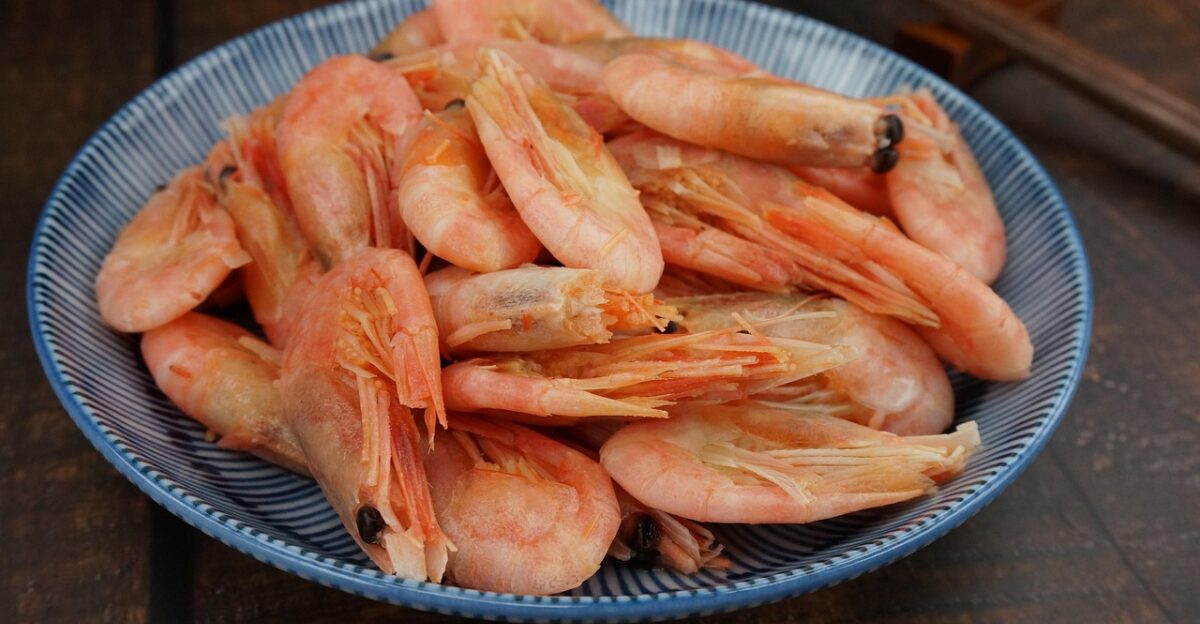 arctic sweet shrimp cooked frozen arctic sweet shrimp the best sweet shrimp