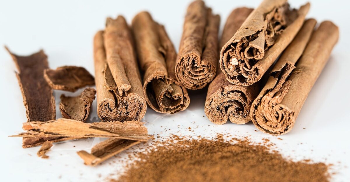 cinnamon stick cinnamon powder spice flavoring cinnamon cooking seasoning ingredient cassia canella food aroma cinnamon cinnamon cinnamon cinnamon cinnamon