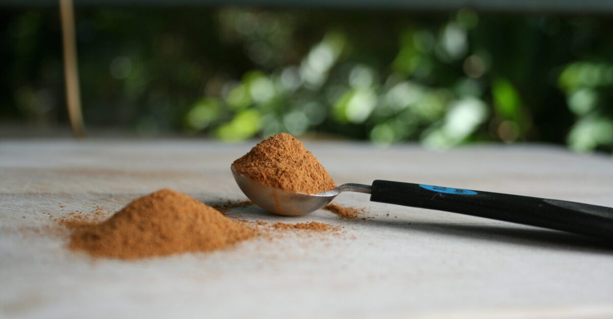 Ground cinnamon with measuring spoon
