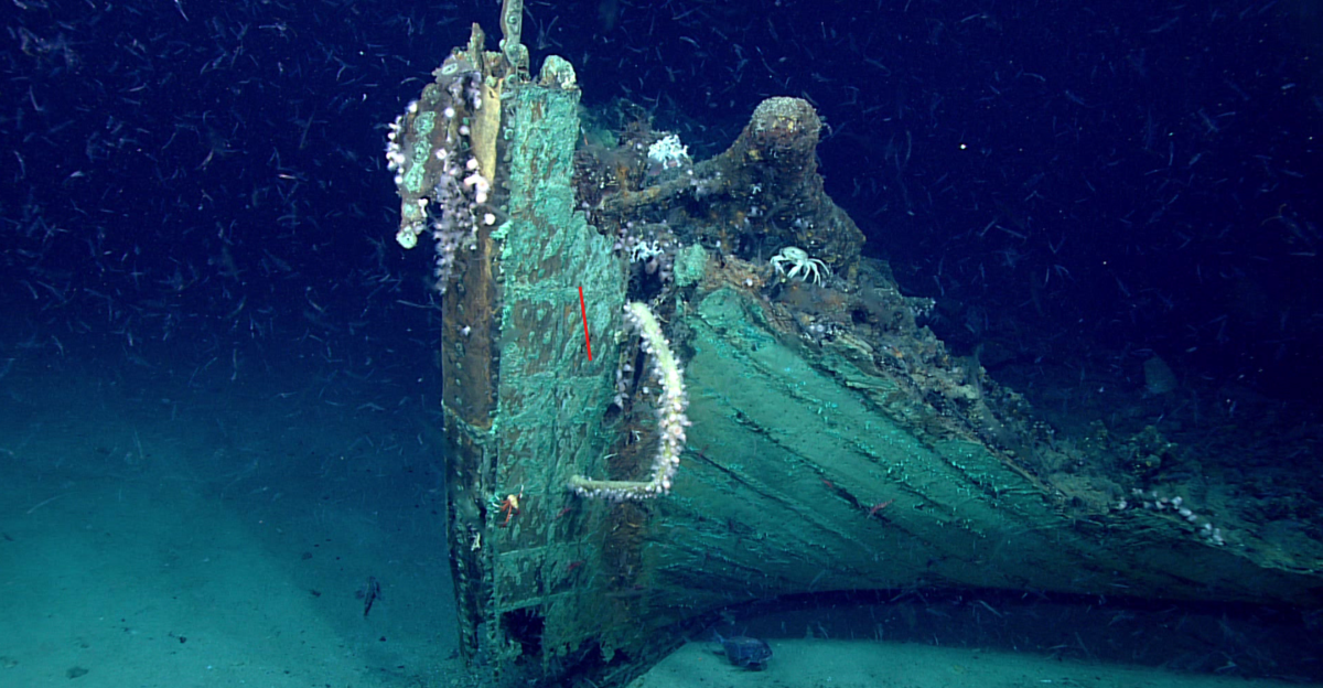 The bow of a mid-19th century shipwreck on the seafloor in the Gulf of Mexico