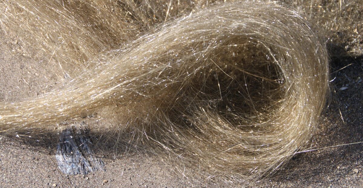 Pele s Hair - Hawai i Volcanoes National Park U S National Park