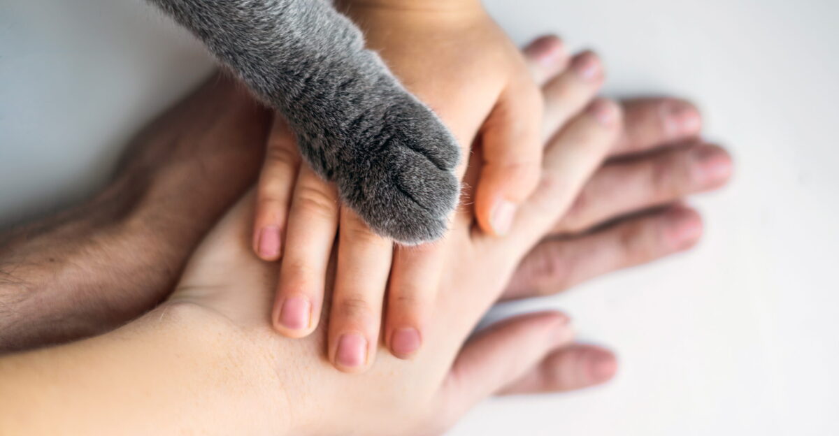 When a pet dies how to tell your children and help them through