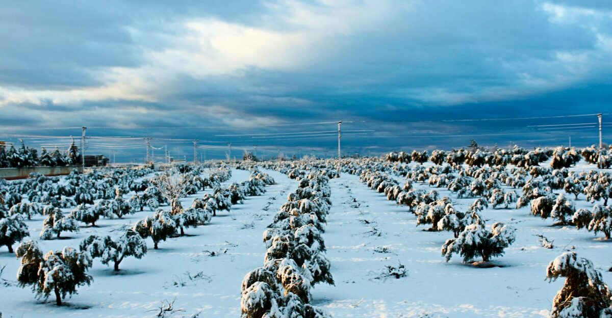 A scenic winter view of a snow-covered field with cloudy skies in Kilis Turkey