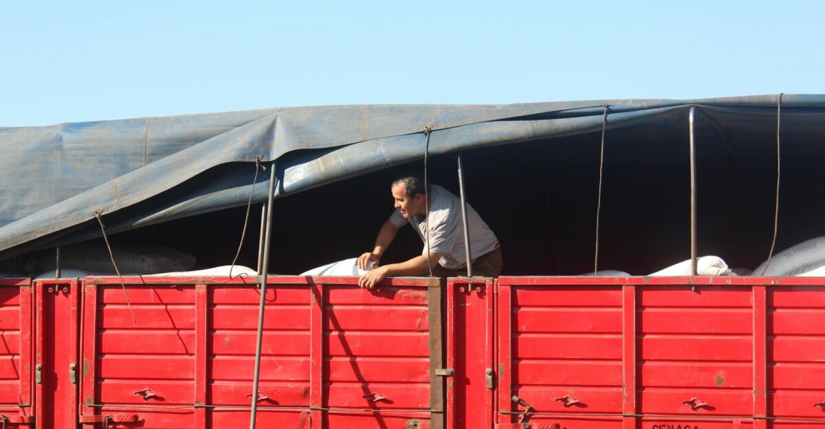 A man inspecting cargo on a red truck under sunny outdoors exemplifying logistics