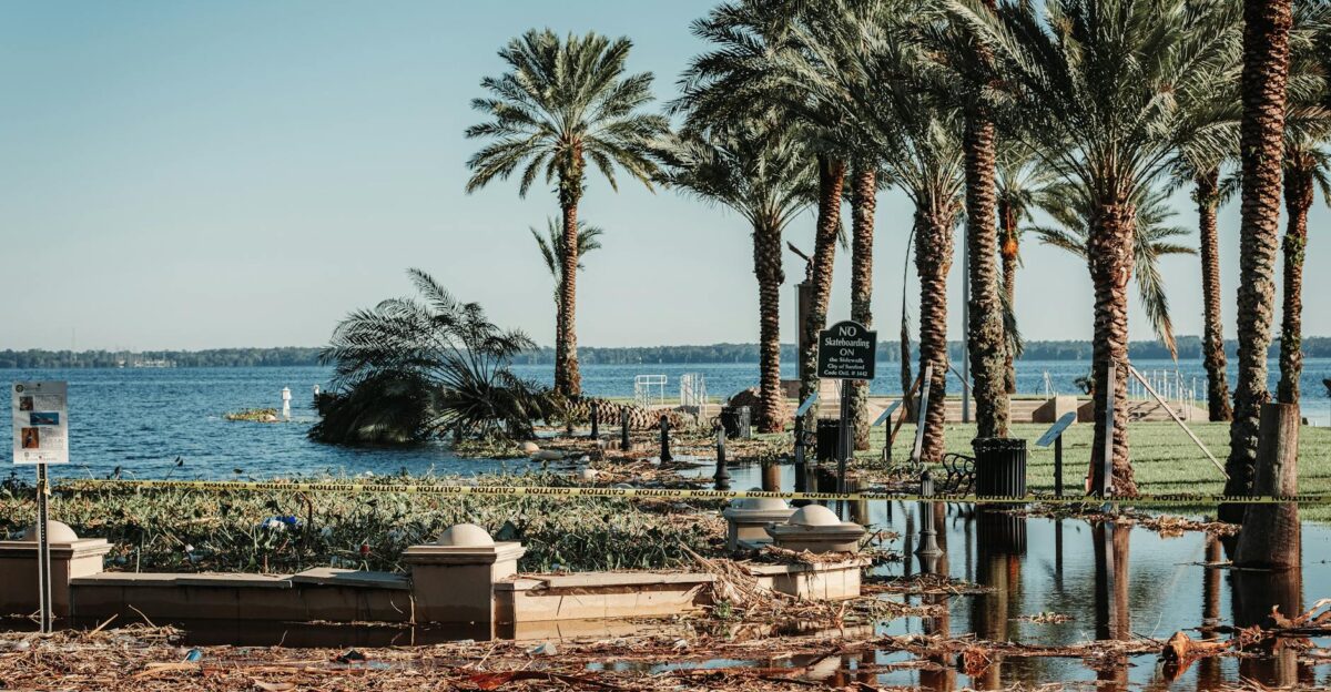 Flooded coastal area with palm trees and an occluded path post-storm damage in Florida