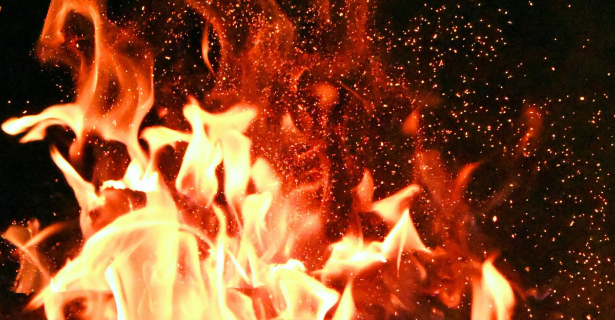 Vivid orange flames and sparks dance against a mysterious black backdrop.