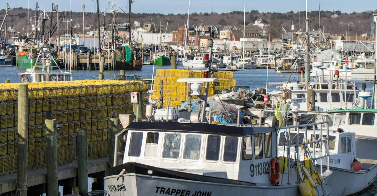 Coastal harbor view with moored fishing boats and lobster traps in bright sunlight