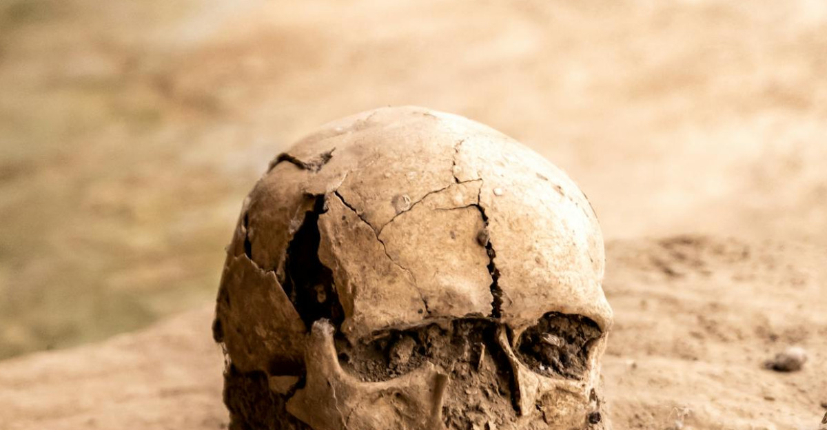 Detailed view of an ancient human skeleton uncovered at an archaeological excavation site showcasing history