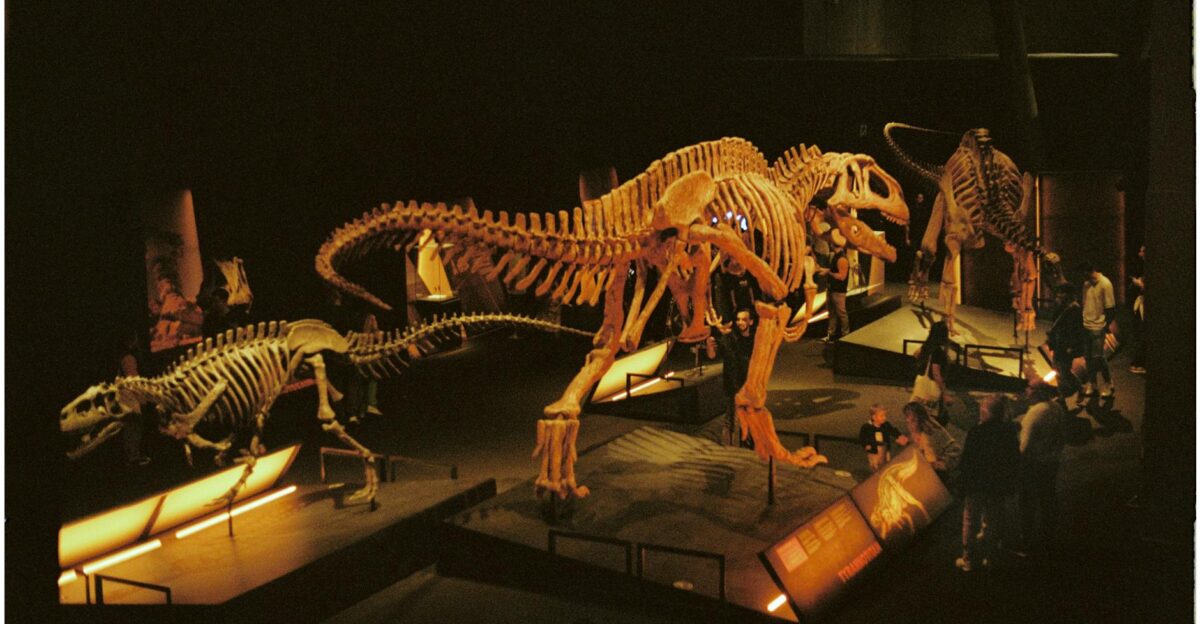 Captivating dinosaur skeleton exhibit in a museum with visitors exploring paleontological history
