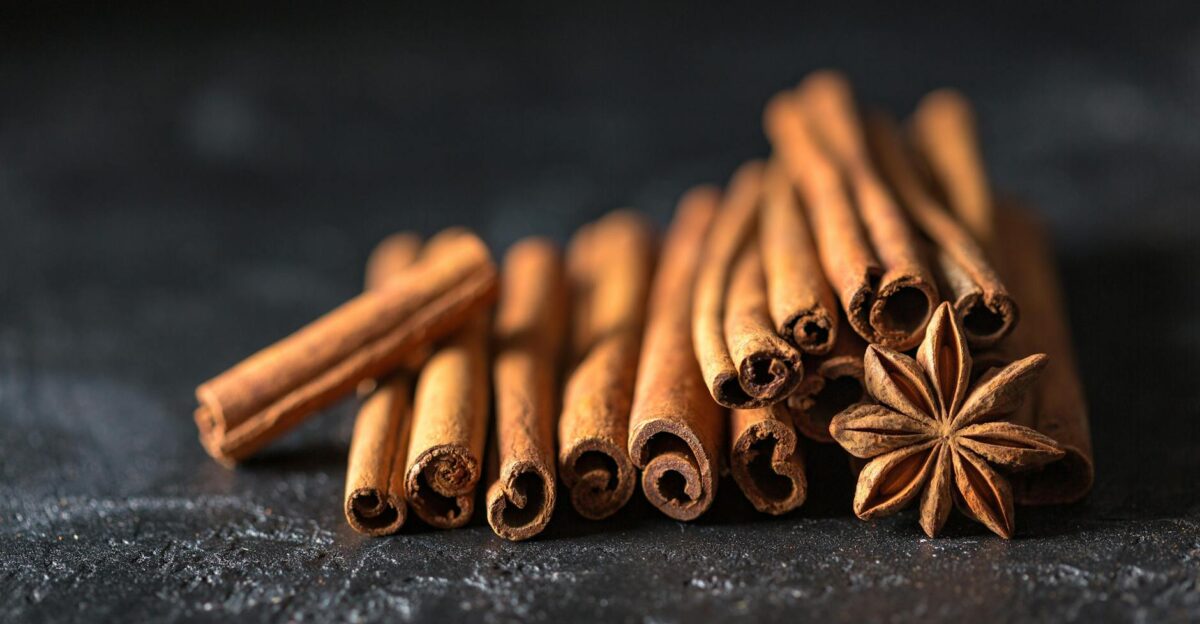 Close-up of cinnamon sticks and star anise on a dark textured surface evoking warm aromatic flavors