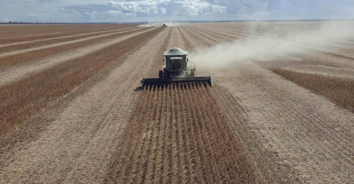 Aerial view of a combine harvester working in a vast soybean field under a cloudy sky