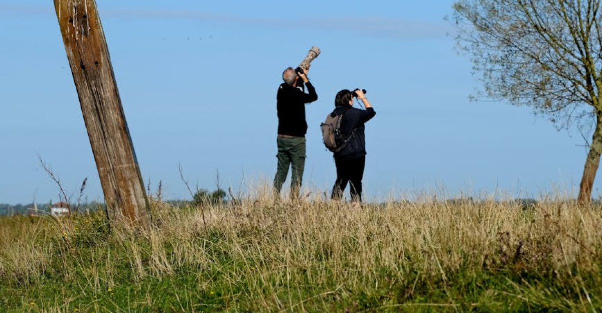 Two birdwatchers with binoculars in a grassy field under a clear blue sky