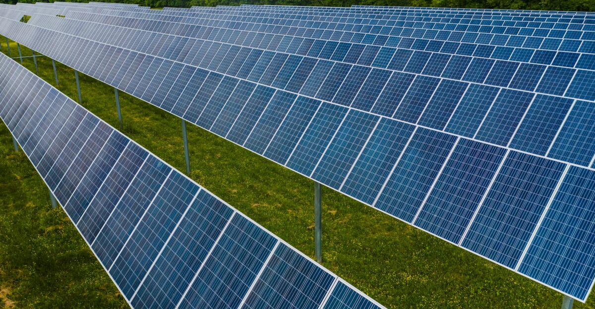 Aerial view of solar panels in a lush green field showcasing renewable energy