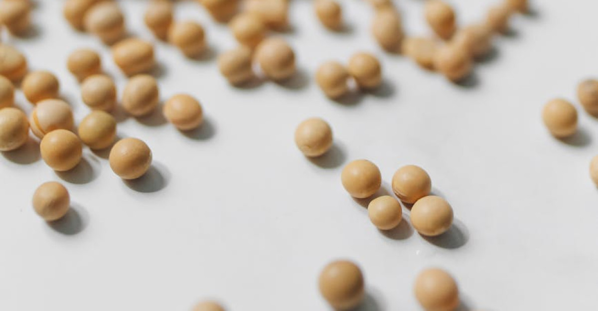 Close-up image of scattered soybeans on a white surface showcasing texture and detail