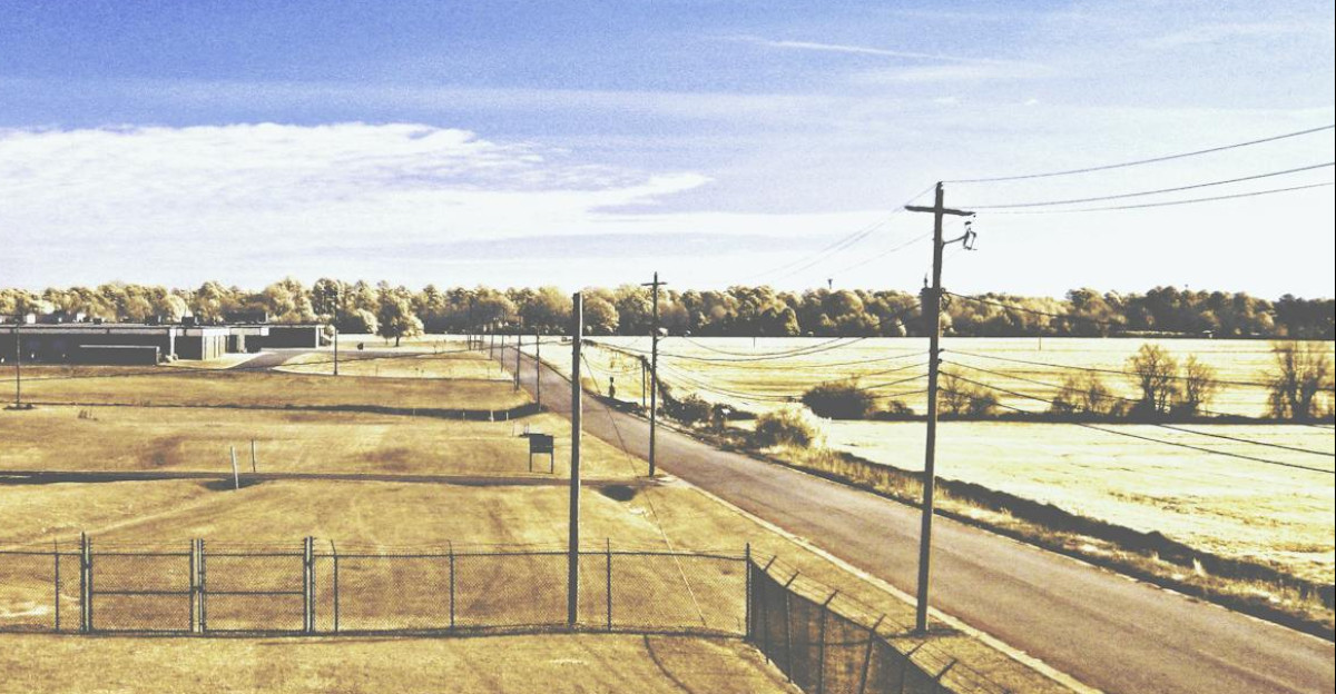 Vast rural view with blue skies and fields in Fort Valley Georgia