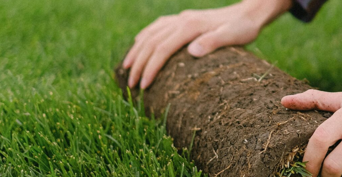 Side view of male worker laying sod grass onto ground for new garden lawn while working in countryside on blurred background