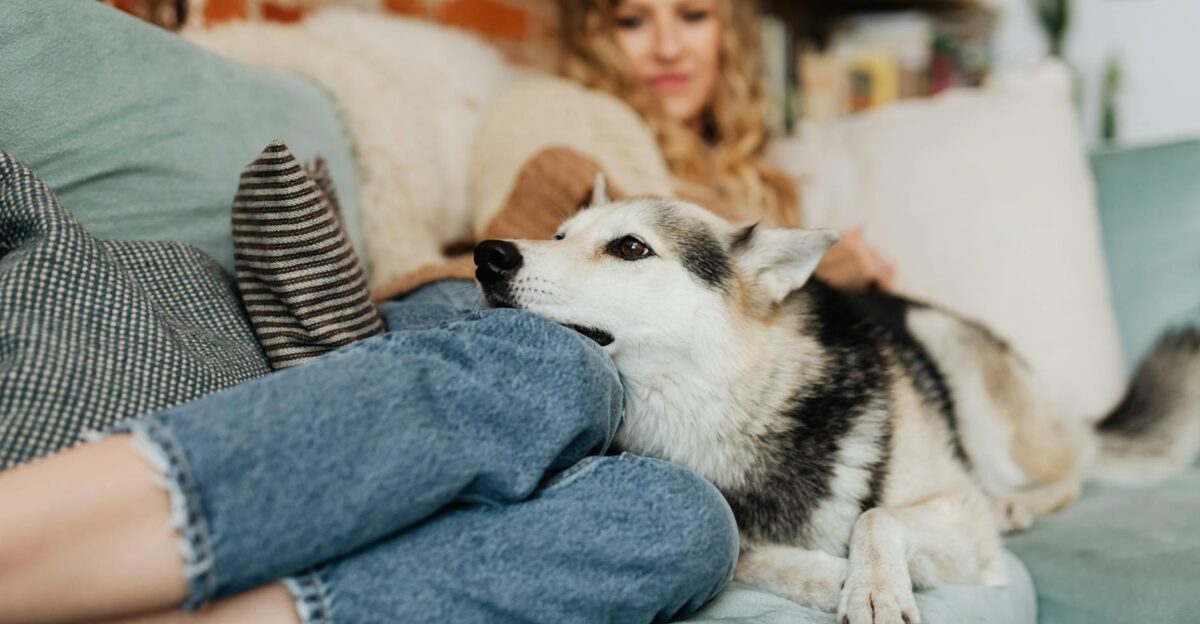 A woman at home with her Husky dog lying on a cozy sofa enjoying a relaxing moment