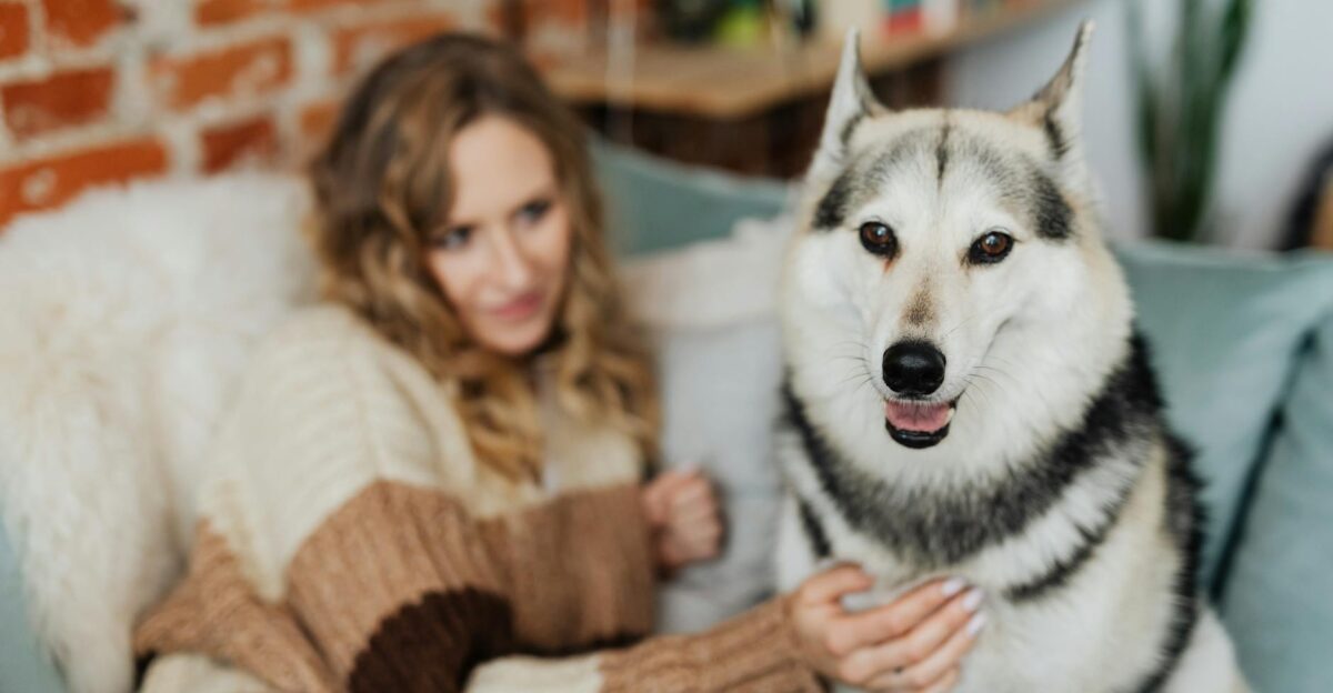 Woman and husky dog relaxing on a sofa with knitted sweater indoors