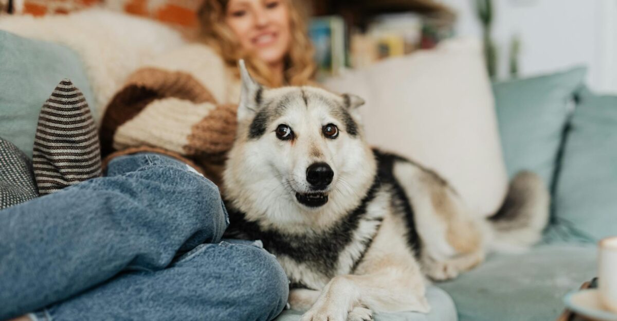 A serene domestic scene with a woman relaxing on a sofa with her dog highlighting comfort and companionship