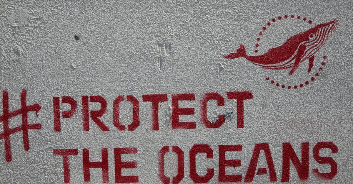 Street art graffiti featuring a whale and message to protect the oceans