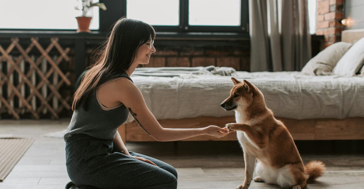 A smiling woman kneels and interacts with a Shiba Inu dog in a stylish bedroom setting