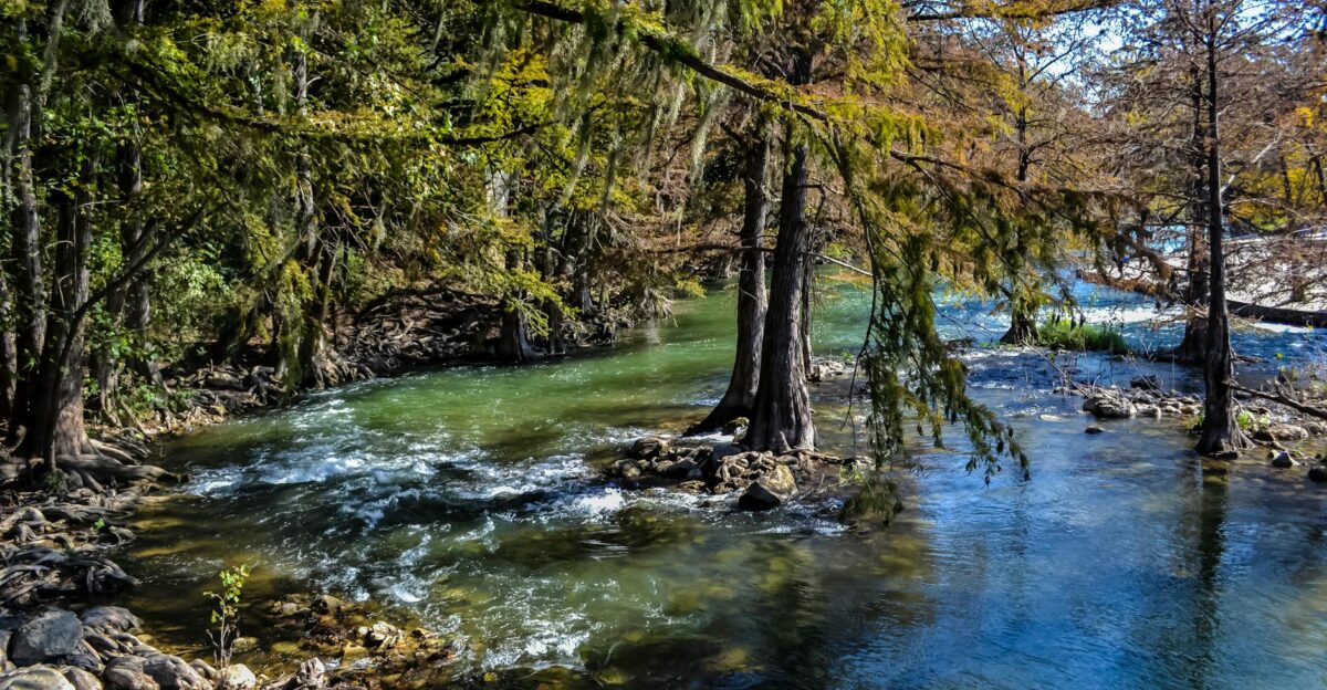 Tranquil scene of the Guadalupe River flowing through cypress trees in New Braunfels Texas