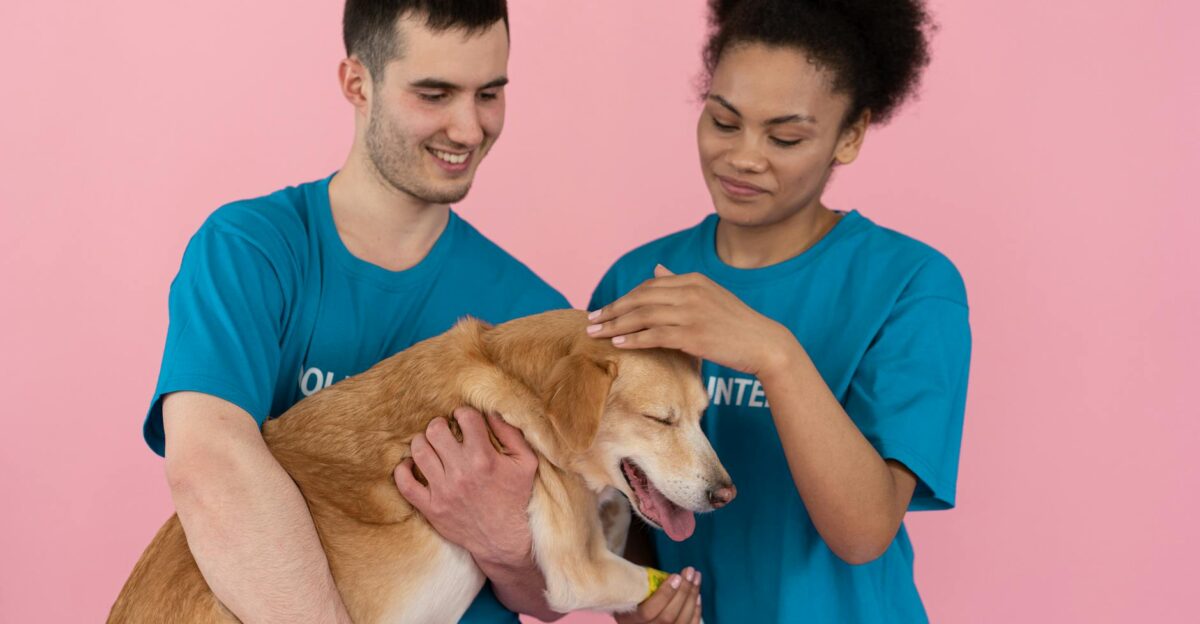 Two volunteers smile while petting a dog in a studio setting