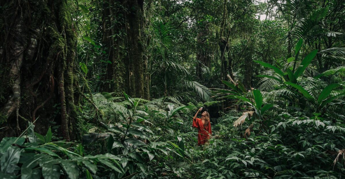 A woman in a red dress exploring a dense tropical jungle surrounded by lush green foliage