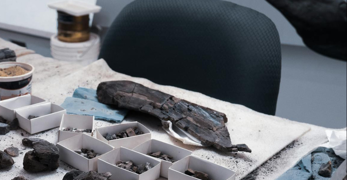 A cluttered desk showcasing various archaeological findings and ancient artifacts