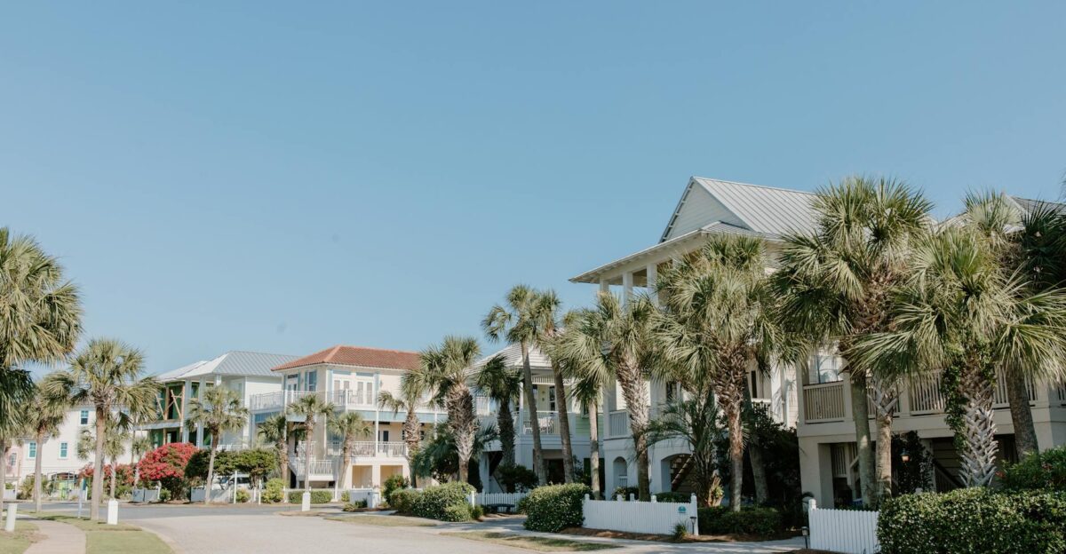 Scenic view of a suburban street lined with palm trees and modern houses