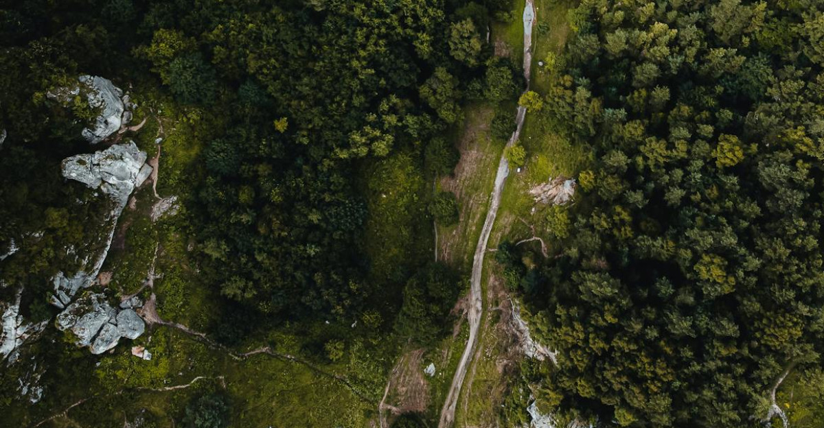 A stunning aerial shot of a lush green forest in Kobylany Poland showcasing natural beauty