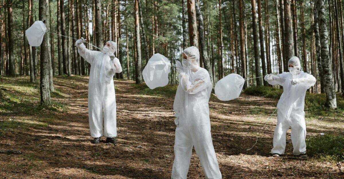 Three scientists in protective suits study environmental conditions in a forest