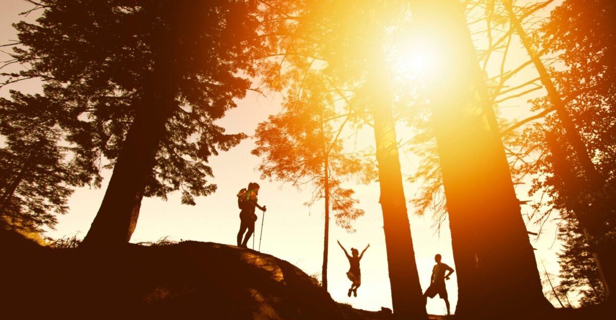 silhouette photo of three person near tall trees
