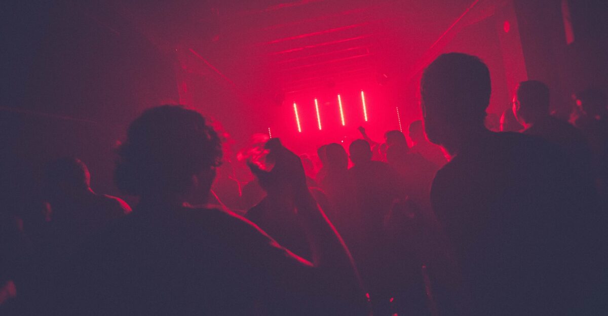 people partying inside room