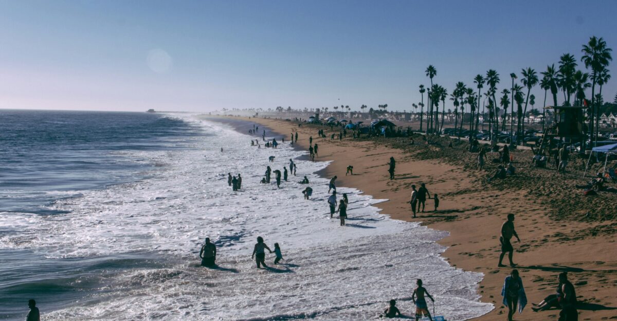 seashore with people under blue sky