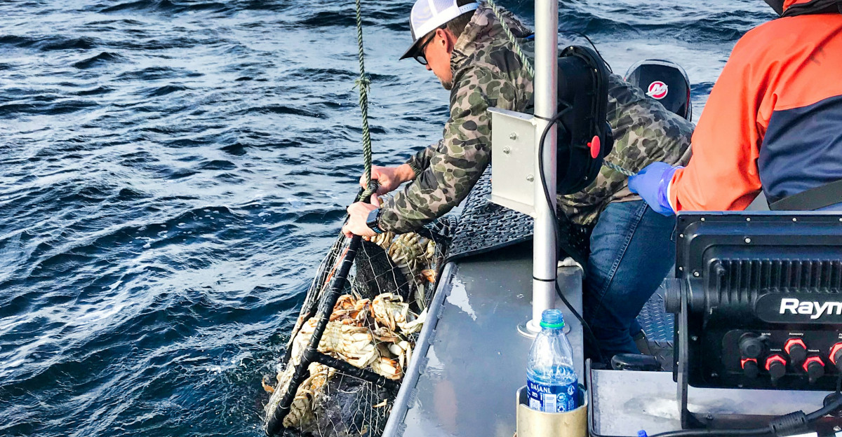 white boat on blue ocean