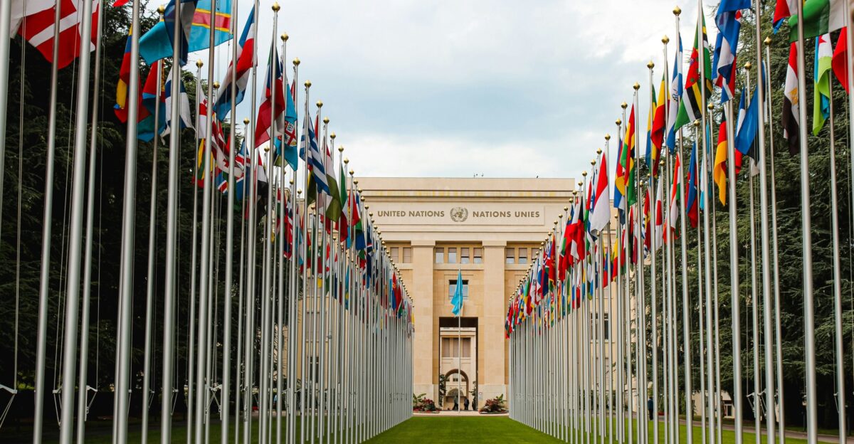 flags on green grass field near brown concrete building during daytime