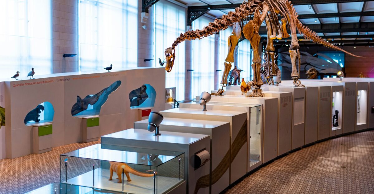 white wooden table with chairs