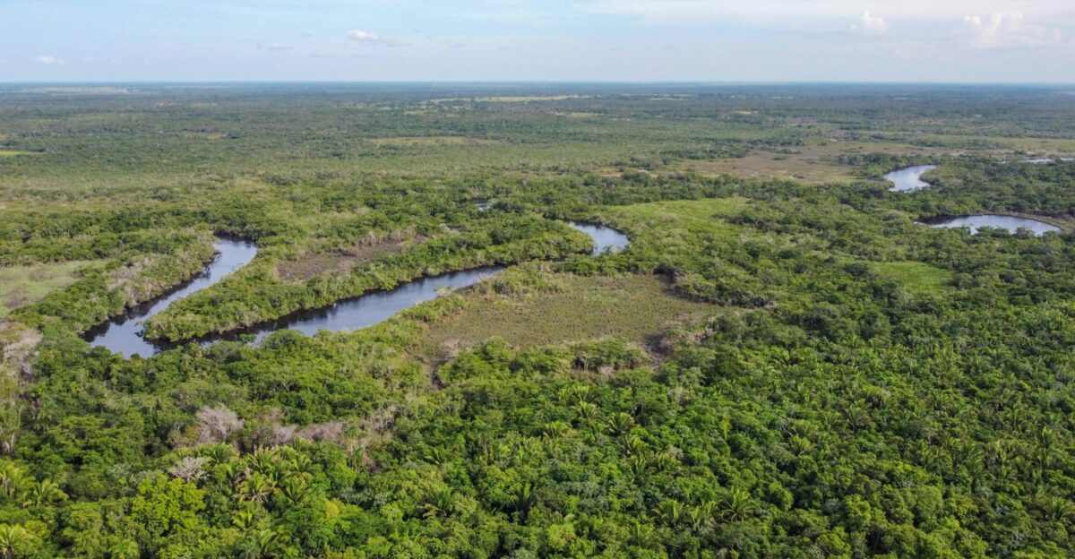 green grass field near river during daytime