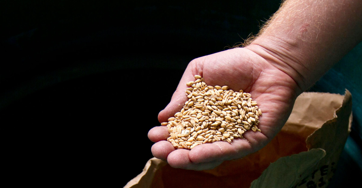 brown powder on brown paper bag