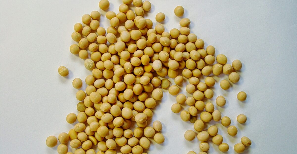 yellow beans on white surface